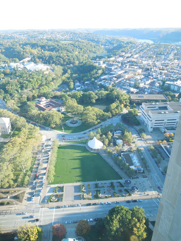 Schenley Plaza by plumgarden