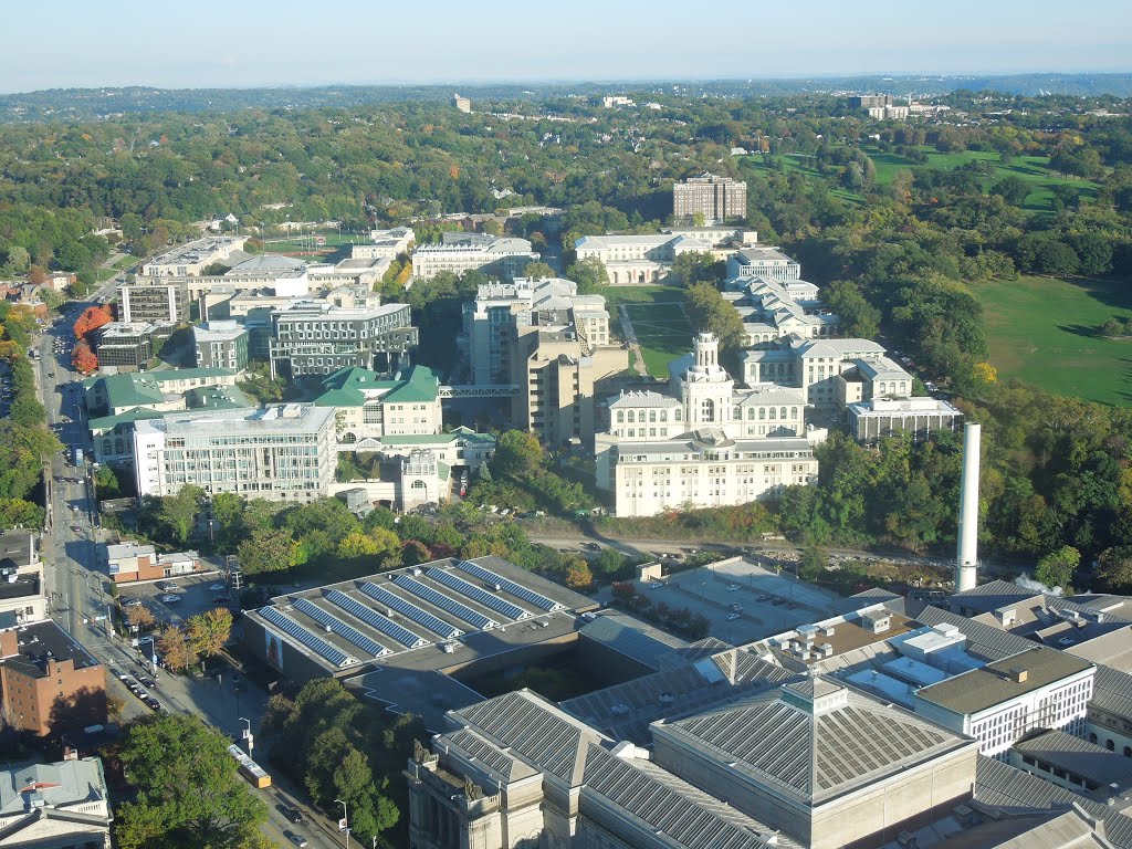 Carnegie Museum of Natural History by plumgarden