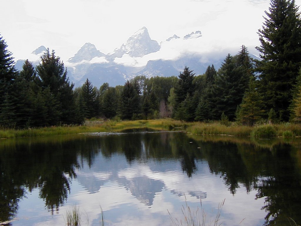 Teton Peaks after the storm from Schwabacher's Landing by Leslie Nelson