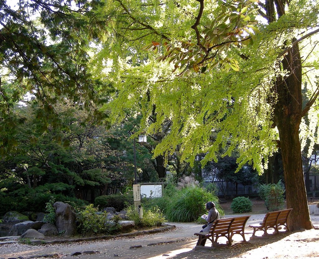 埼玉県立北浦和公園 (Saitama Prefectural Kita-Urawa park) by yossy