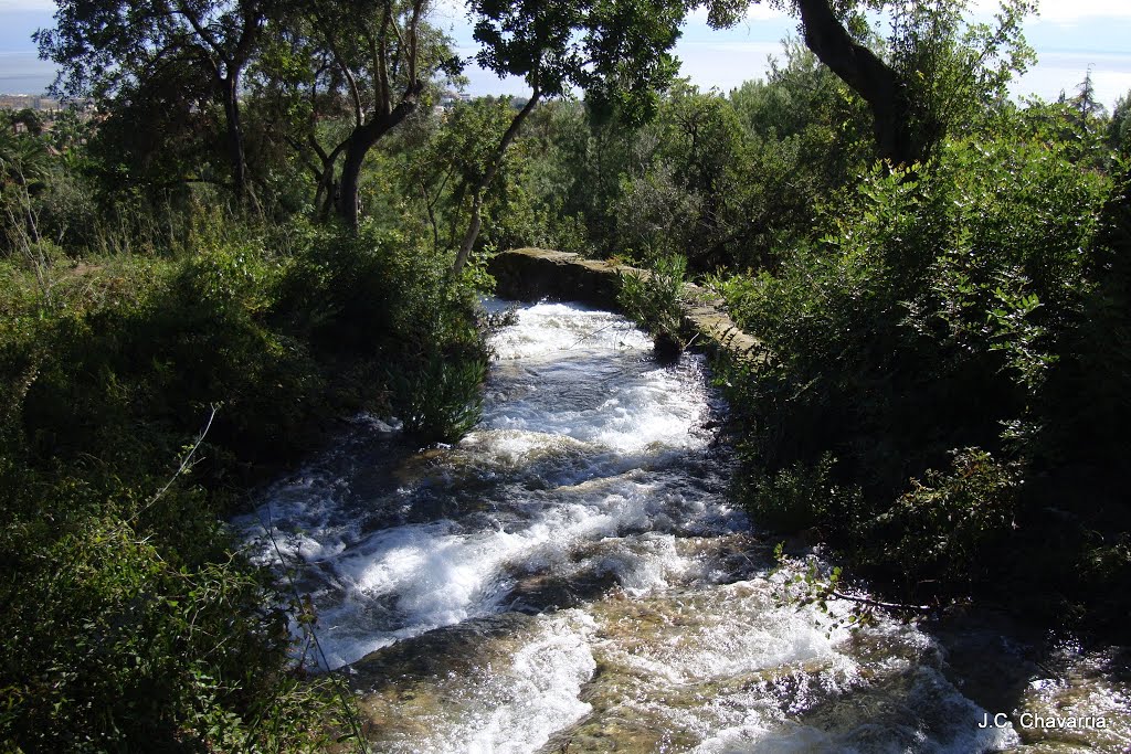 Cerca a la Cascada de Camojan by Carlos GPSMalaga