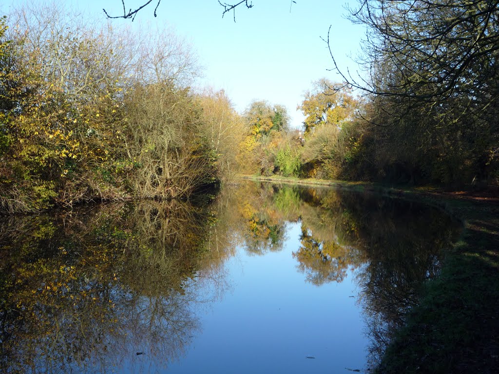 Reflections- Grand Union Canal near the Grove by RobBobTun