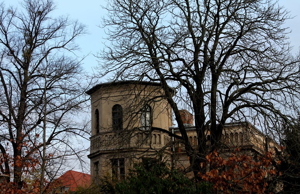 Potsdam Villa in der Weinbergstrasse by der_pusher