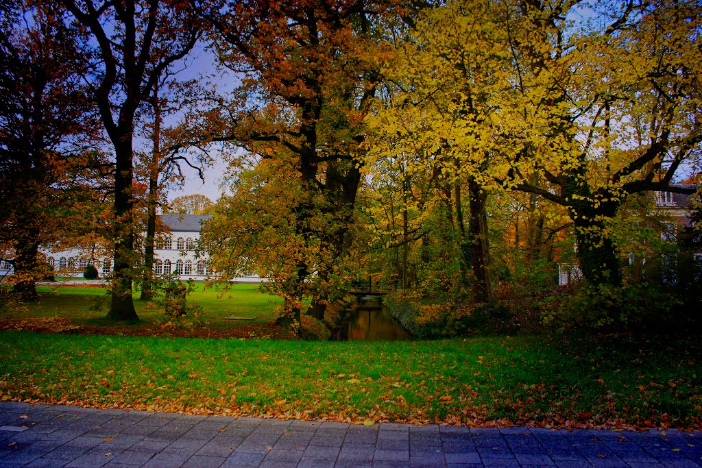 Autumn in Leiden , Netherlands by Tardigrade