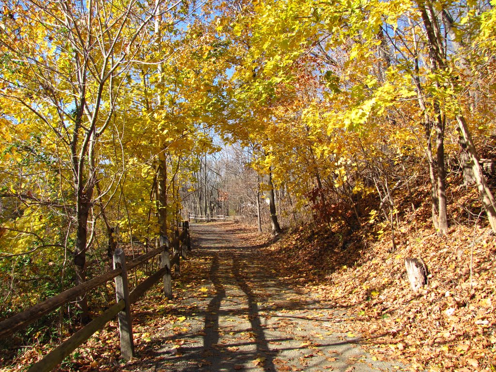 Perkiomen Trail in Late Fall by Chris Sanfino