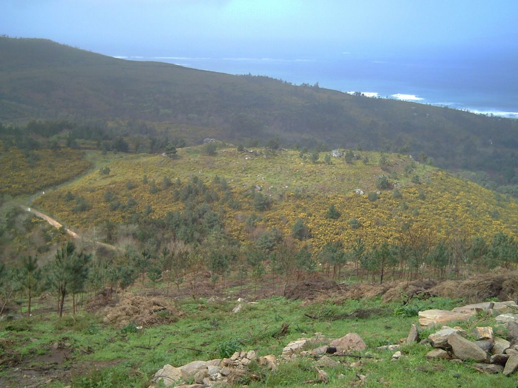 Castro de Mallou visto desde a montaña by maceirax