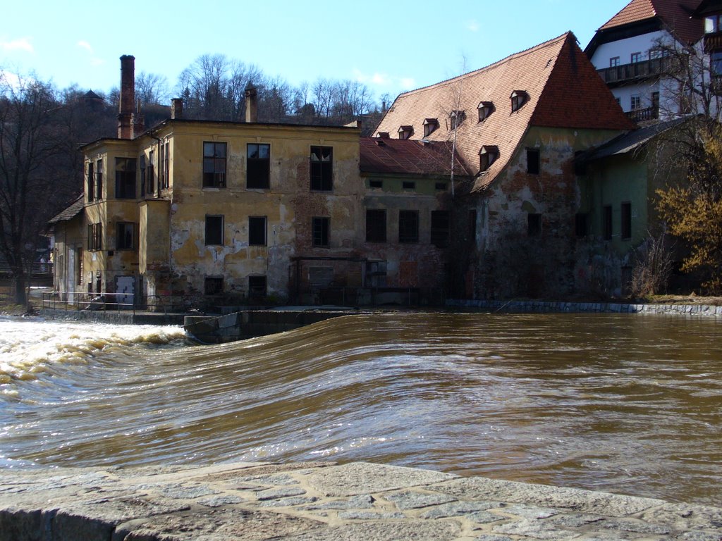 "Gyllene älgen" in Cesky krumlov by Kaarina Ehlers