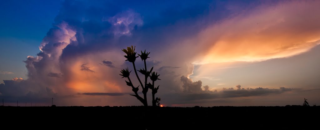 Prairie Sunset by teton22