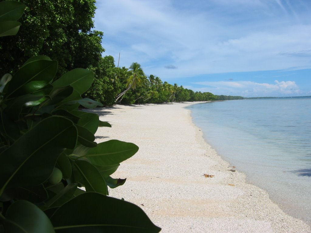 A beach by a.richichi