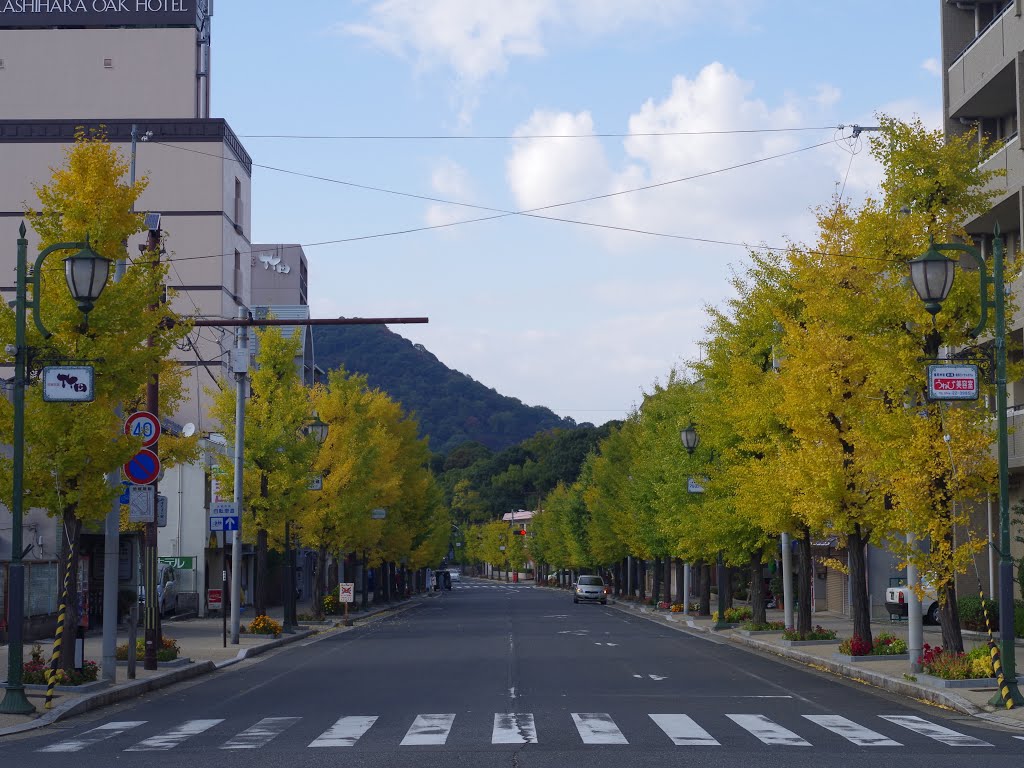 奈良県道125号 橿原神宮前駅中央口付近 2012.11.07 by as365n2