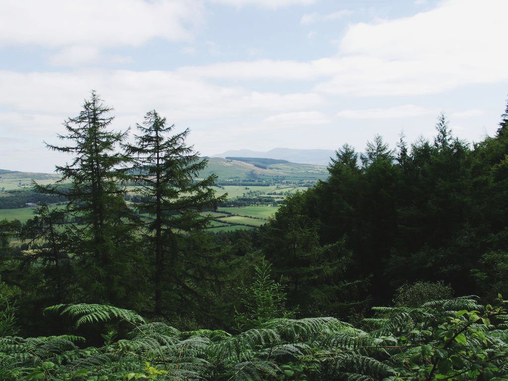 Ballyhoura Mountains by Mitmount