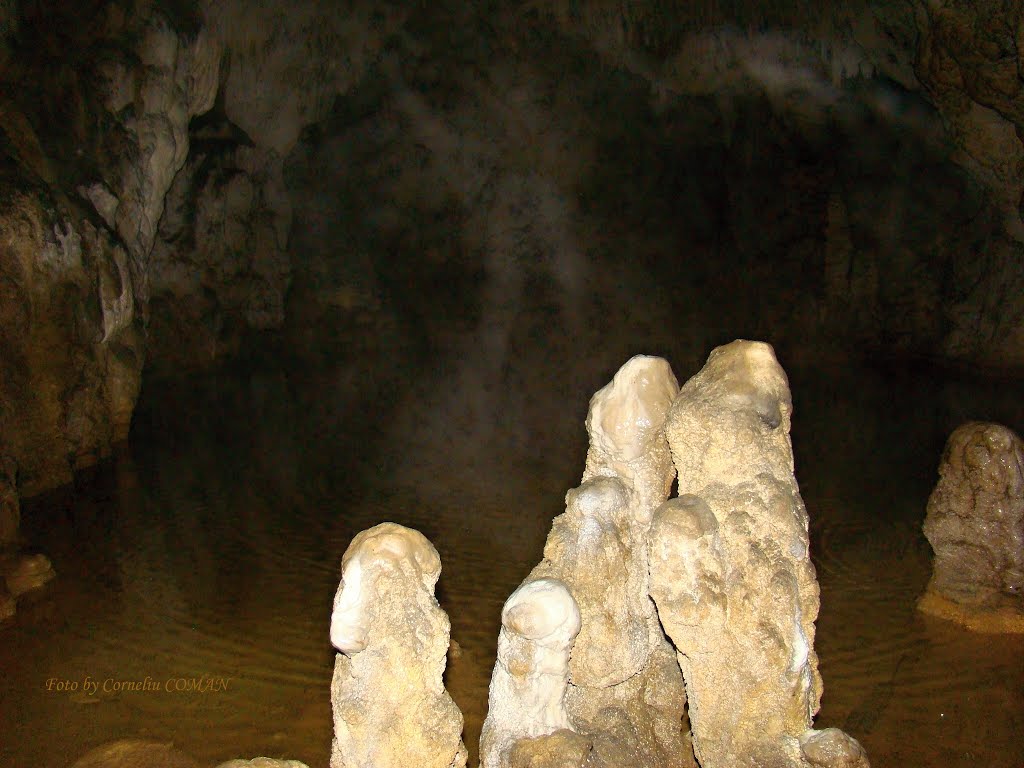 Corbasca Cave, Sighistel, Bihor, Romania by COMAN CORNELIU