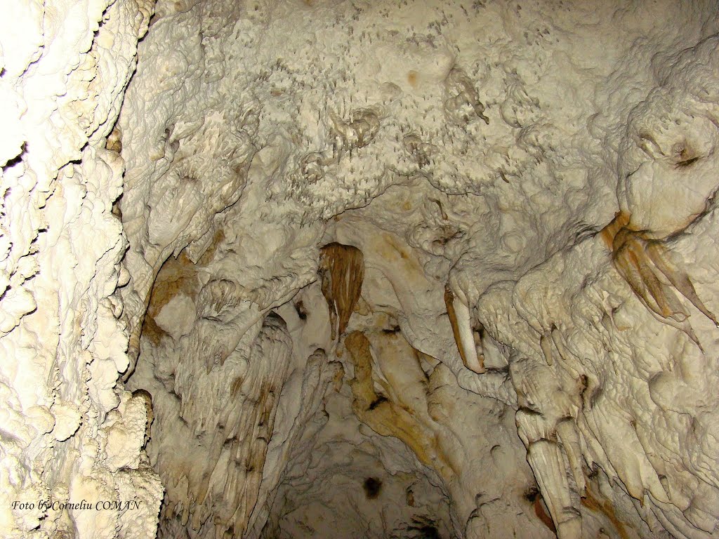 Corbasca Cave, Sighistel, Bihor, Romania by COMAN CORNELIU