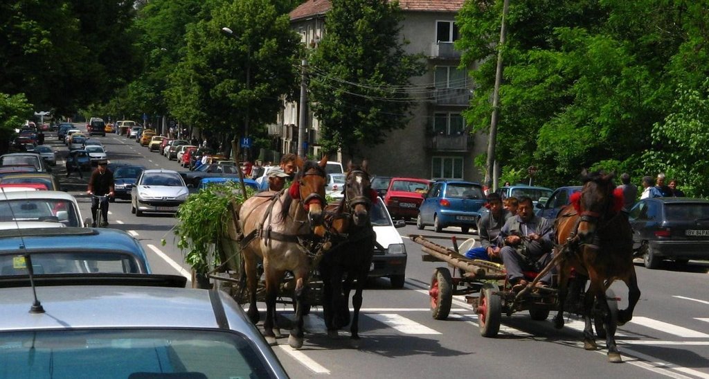 Dicsőséges előzés... / Depăşire glorioasă by Dénes László