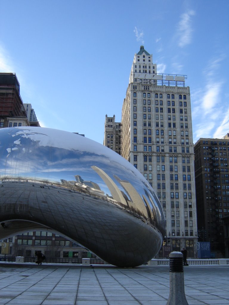 Millenium Park in Winter by Ella Buitrago