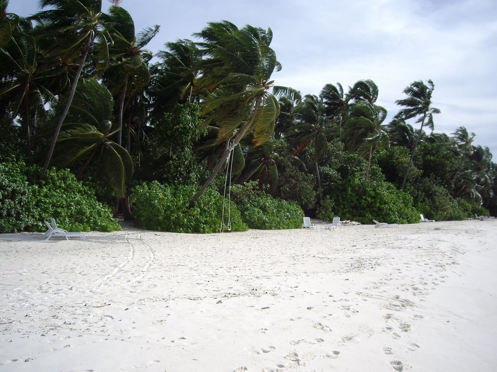 Unnamed Road, Maldives by Cyle