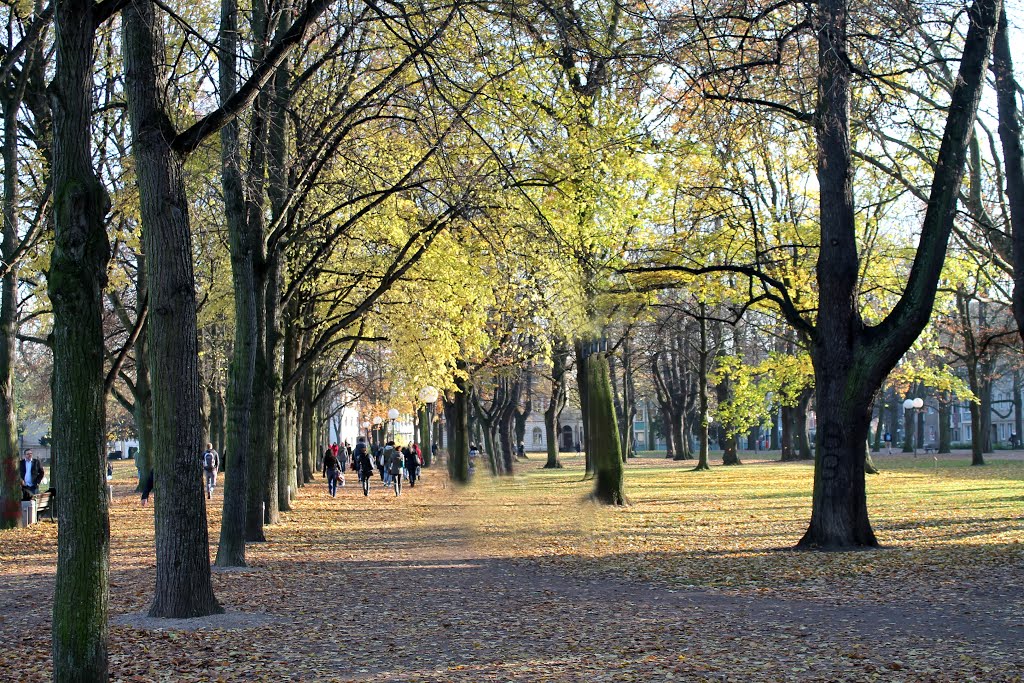 Bonner Hofgarten by der_pusher