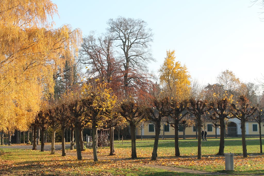 Bonn Poppelsdorfer Allee by der_pusher