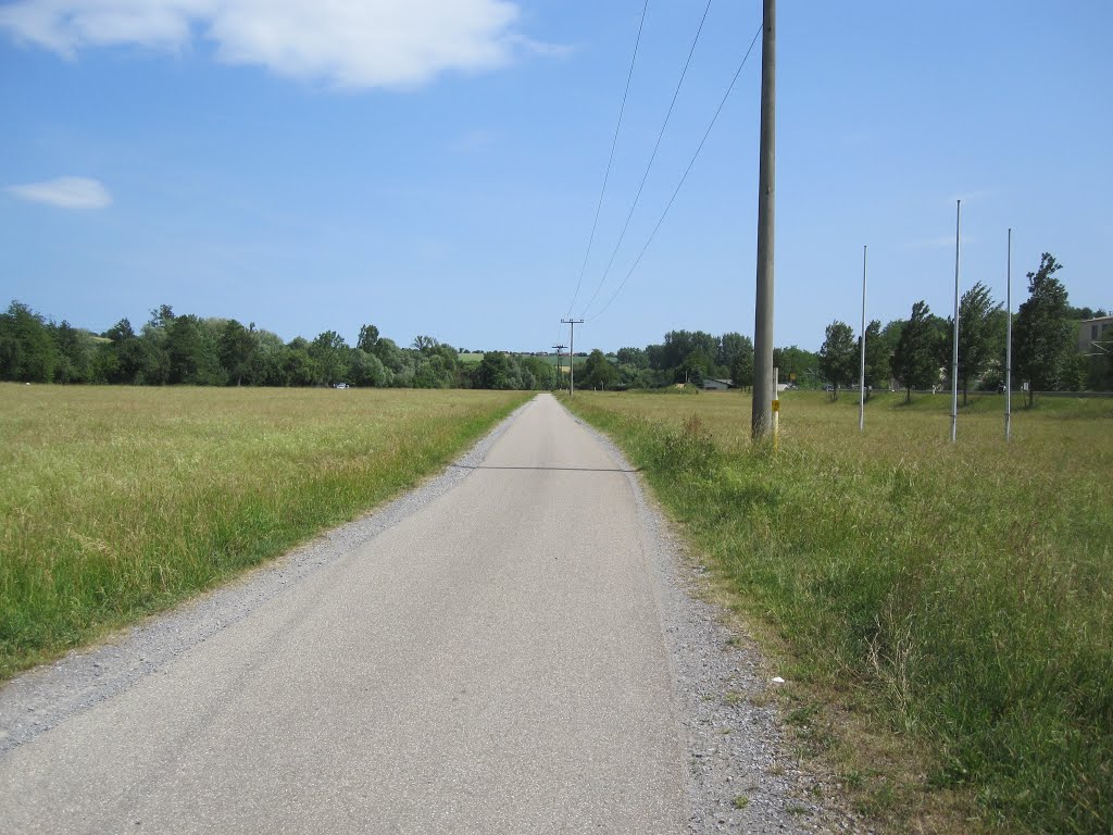 Radweg Meckesheim-Mauer by HaraldSogl