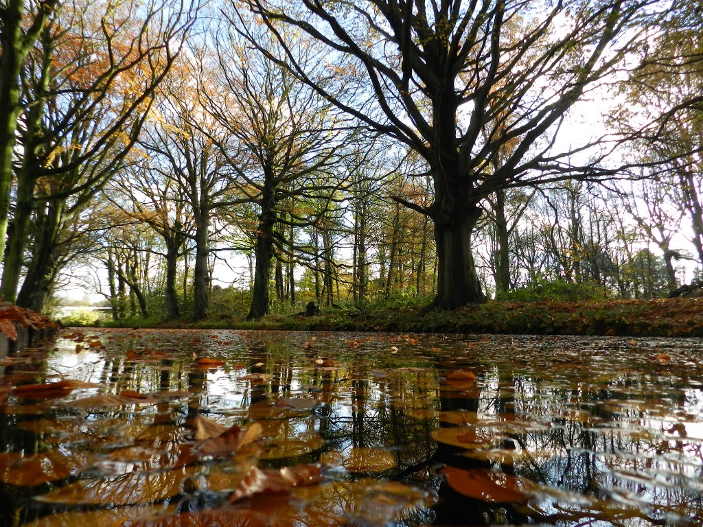 Last autumncolours in Ockenburg by jbuskes