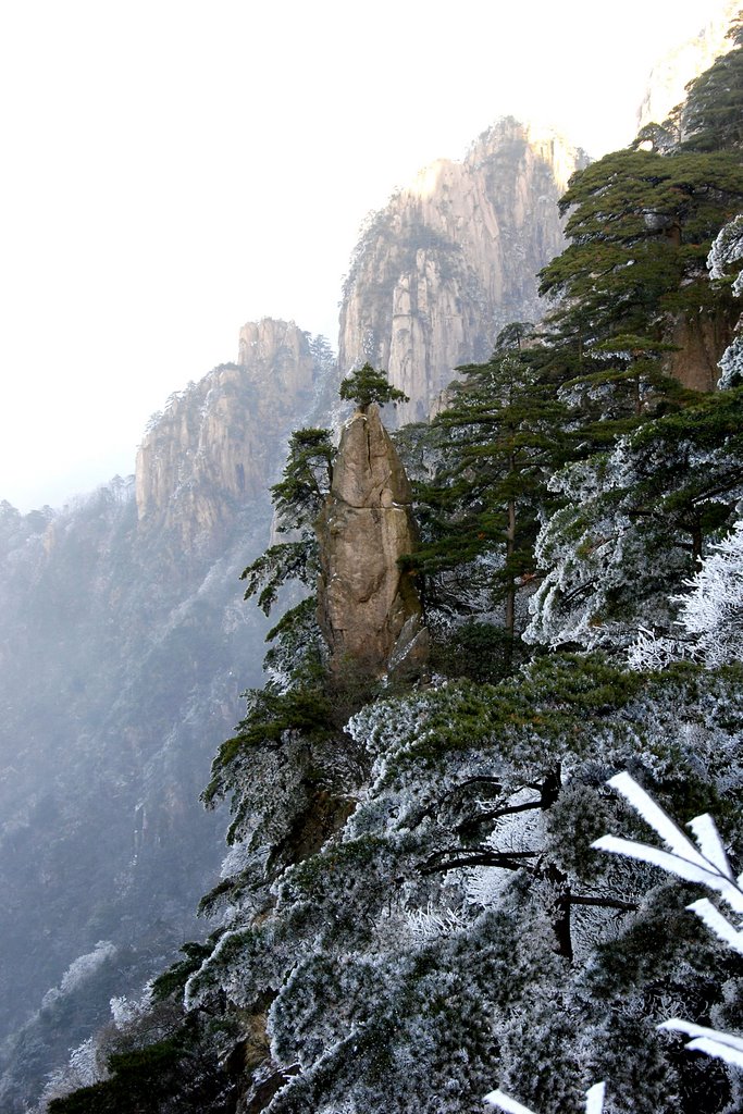 Huangshan by lauchiwung