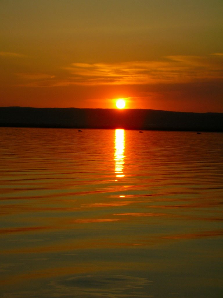 Sonnenuntergang Neusiedl am See by carina77