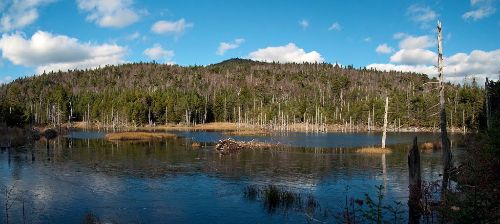 Lockwood Pond by cwohlers