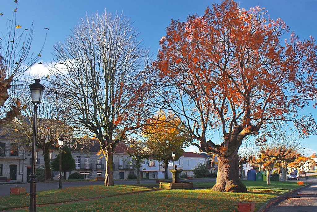 Parque Montederramo by Santiago Rguez