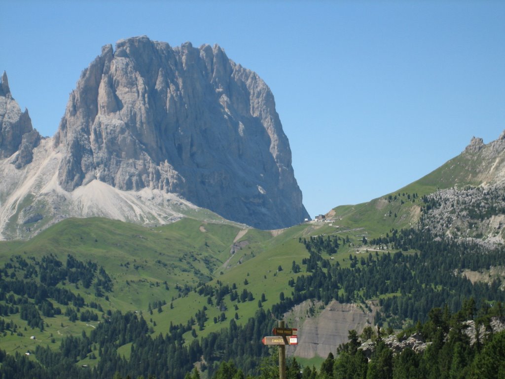 View onto Sellajoch and Langkofel seen from near Pordoijoch by kapibara