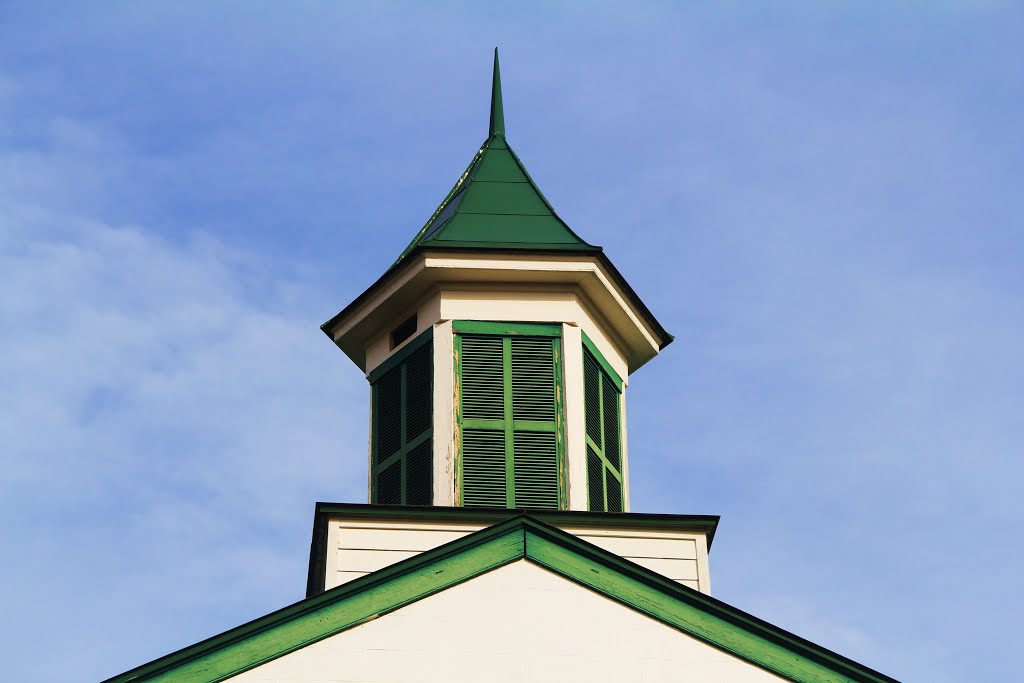 Nelson County Courthouse Steeple (Lovingston VA) by John MacKinnon