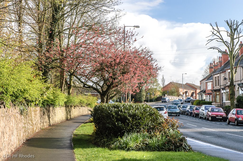 Walking up Coventry Road near the Vicarage by hilofoz