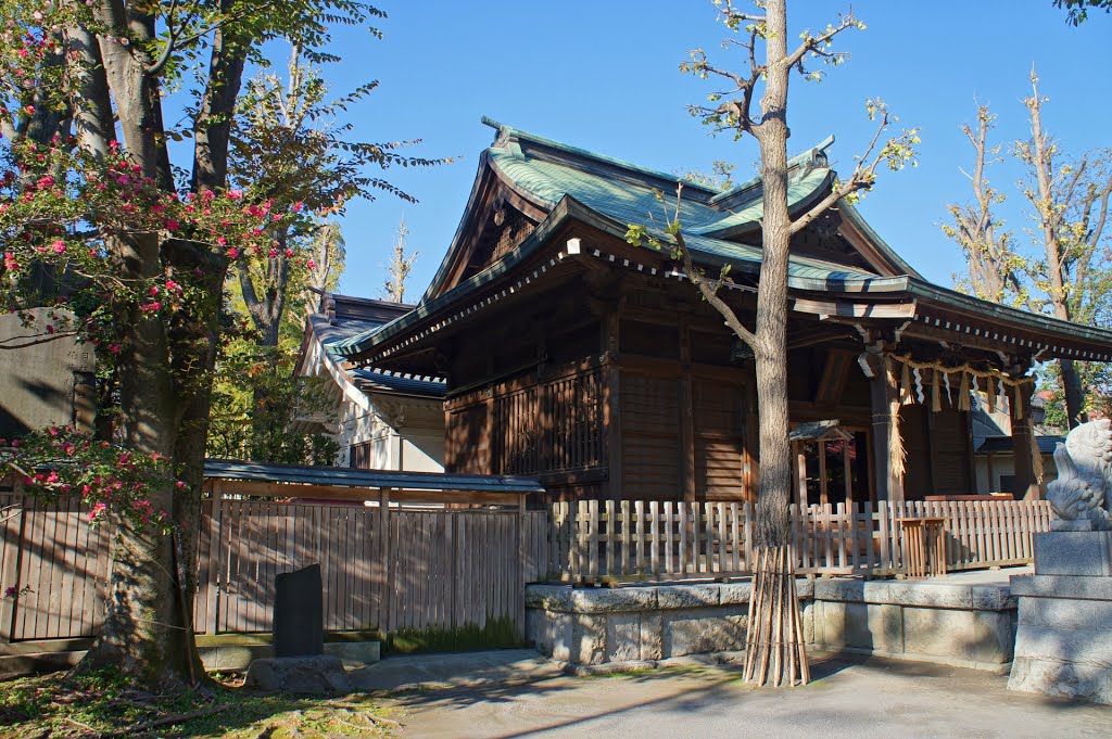 お三の宮 日枝神社 -Osannomiya Hie Shrine- by Saruman8000