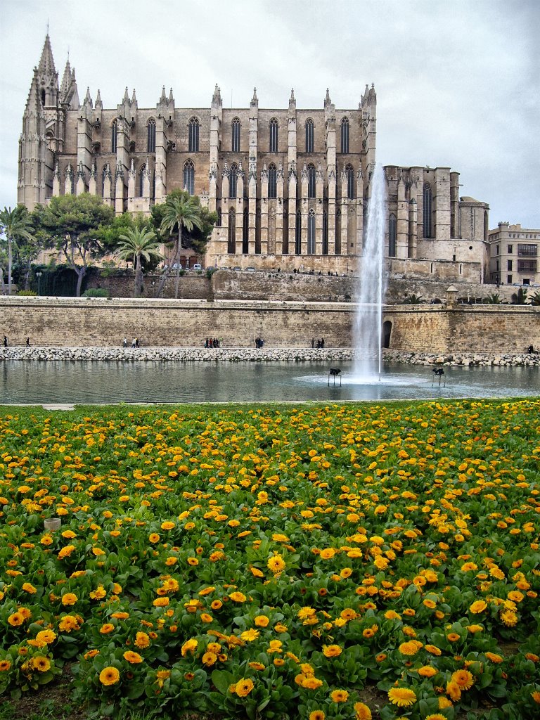 Catedral by Andres_age