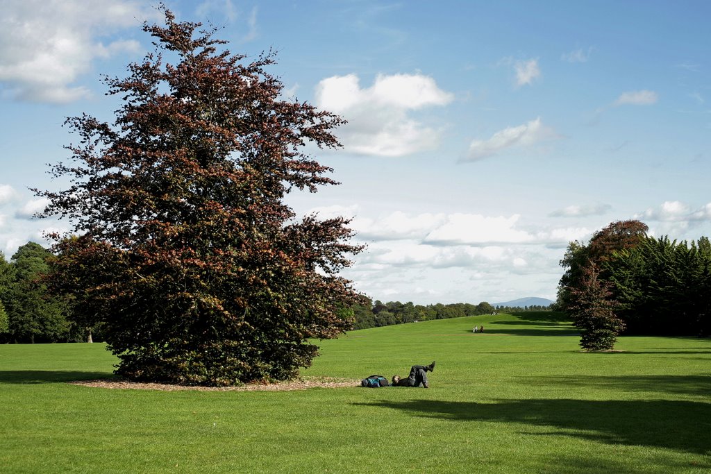 Kilkenny castle garden by robert buga