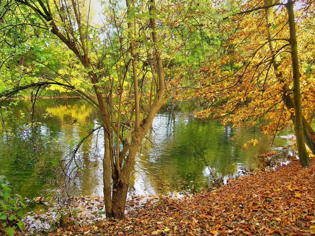 Herbstl.Farbenspiel an der Rur, Düren by Willibert Wilkens