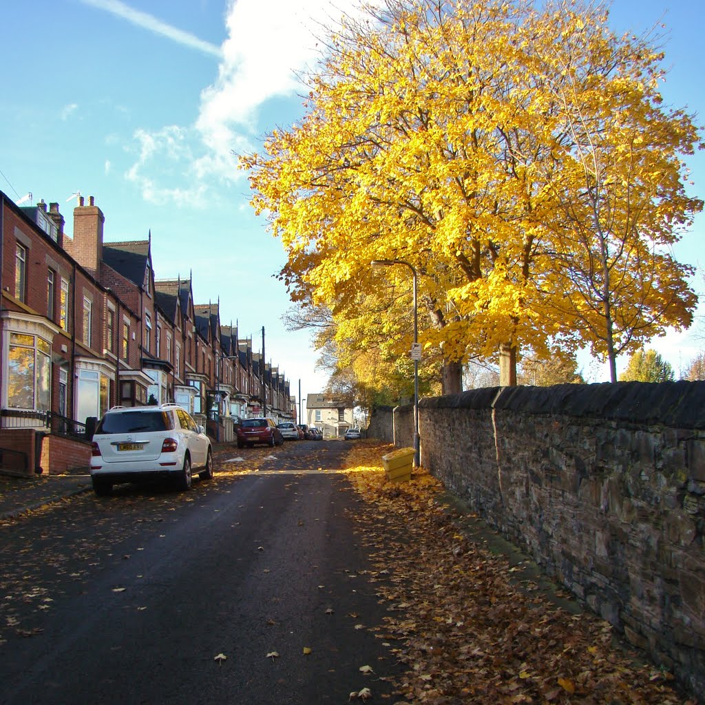 Looking up a late autumnal Vivian Road 1, Firth Park, Sheffield S5 by sixxsix