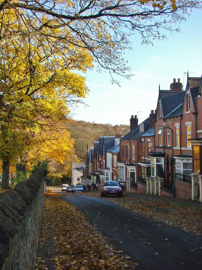 Looking down a late autumnal Vivian Road, Firth Park, Sheffield S5 by sixxsix