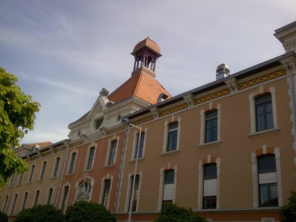 Batiment boulevard voltaire bourg en bresse by Salomon BARZILAI & Jerome IBY