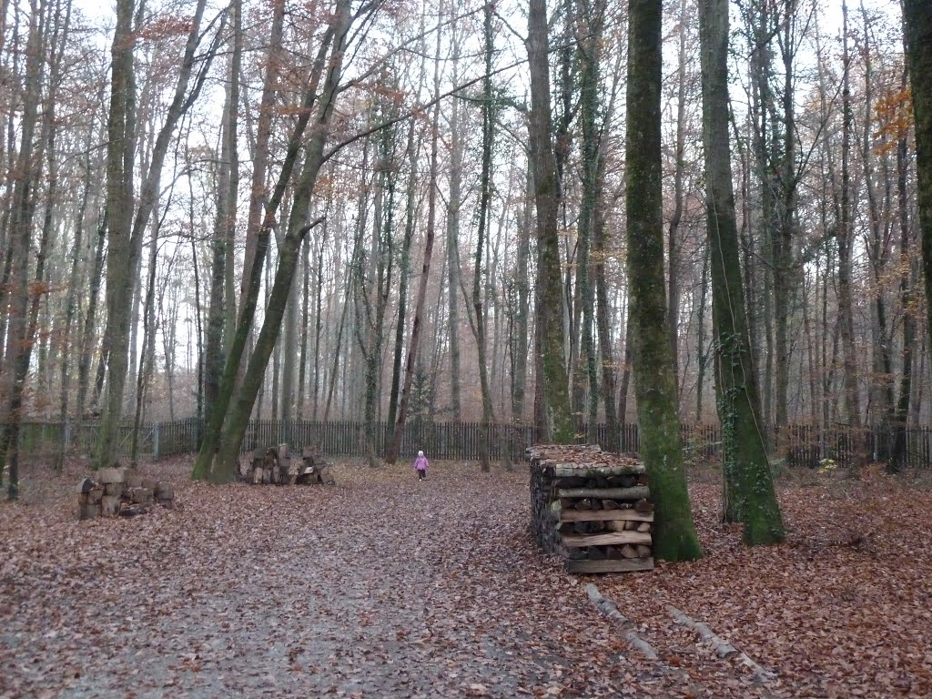 Waldfriedhof by franzhorvath