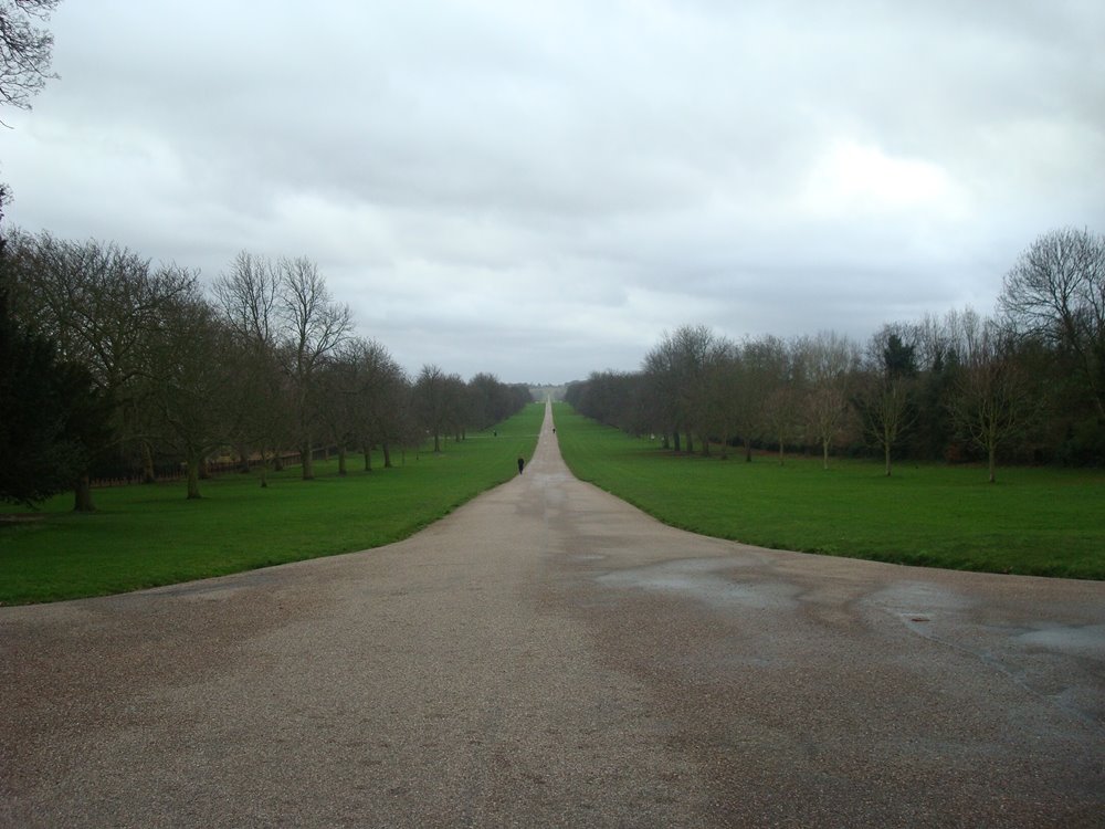 Long Walk, Windsor Castle by 21cpaulkim