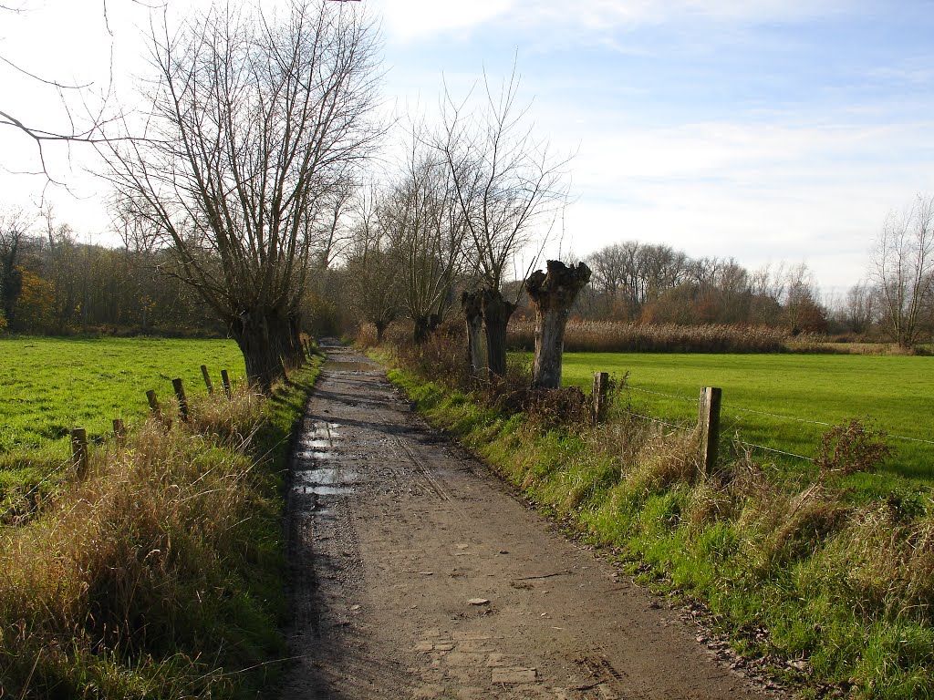 Albijn vd Abeelen wandelroute by FreddyVanHaele