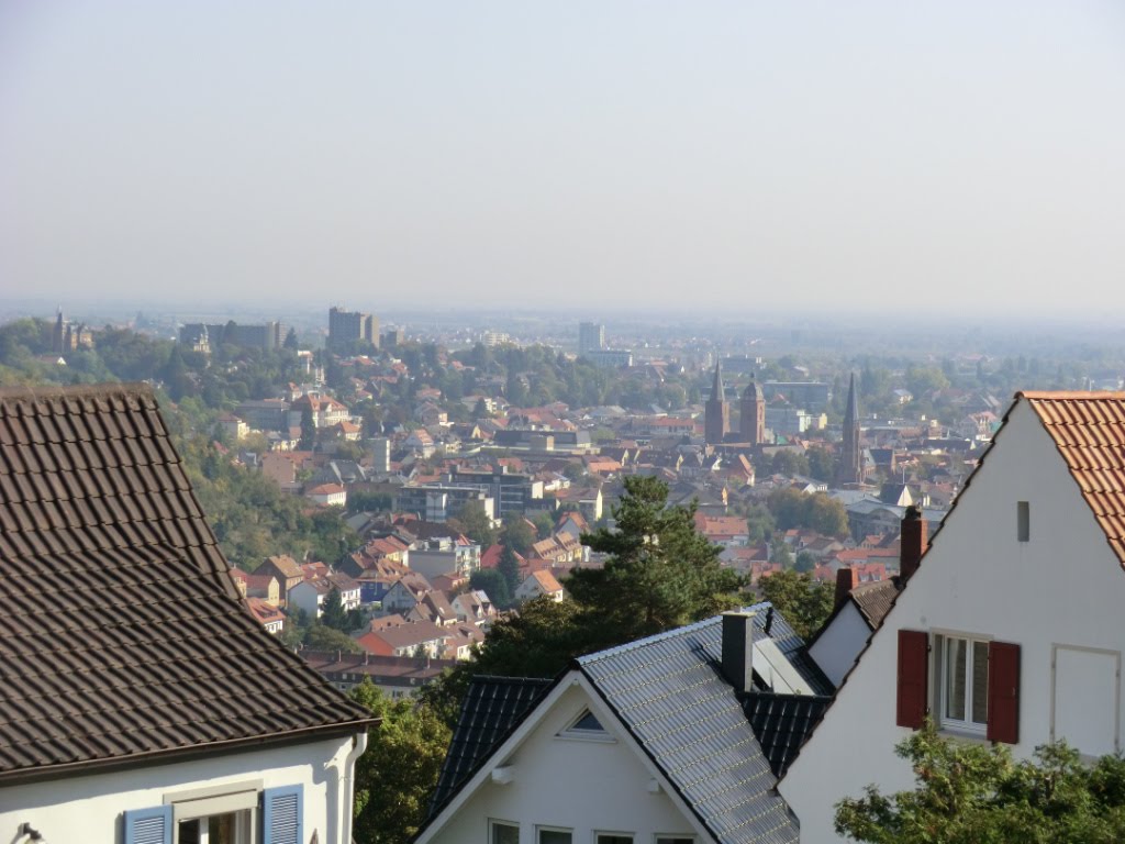 NEUSTADT a. d.Weinstr. - Blick über die Stadt by ReinhardKlenke