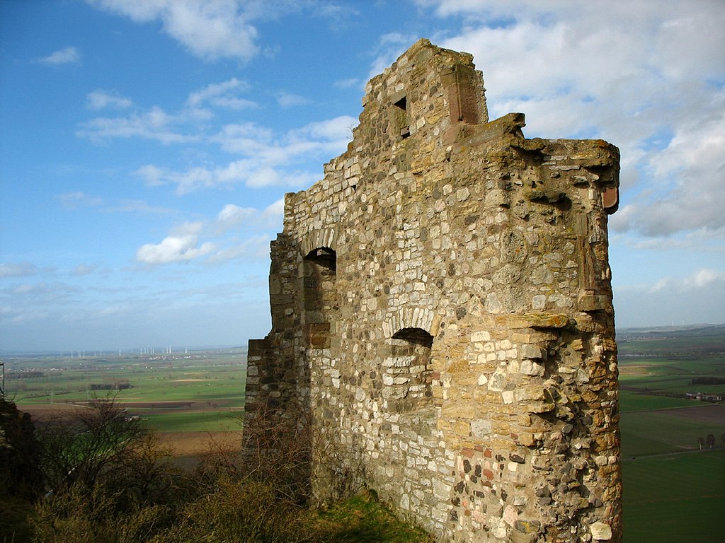 Castle Desenberg - fallen into ruin by RSchuetz