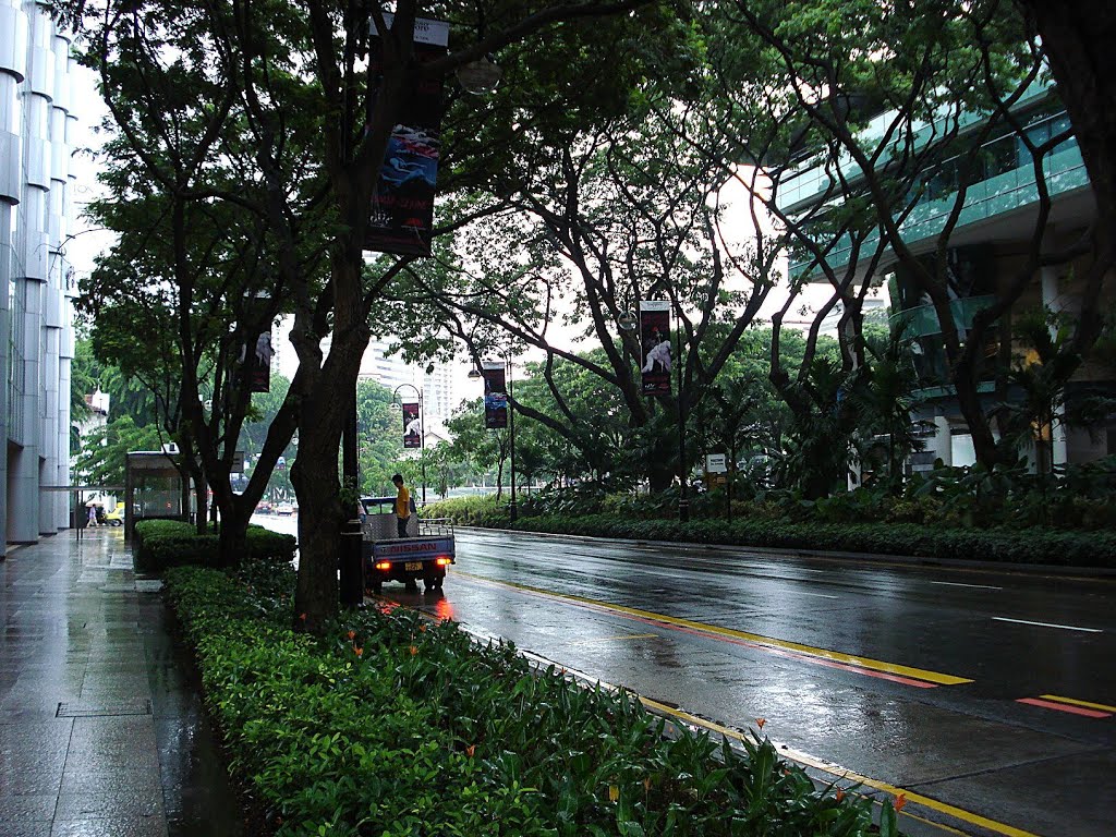 Singapore - Downtown Rainy Day by RNLatvian