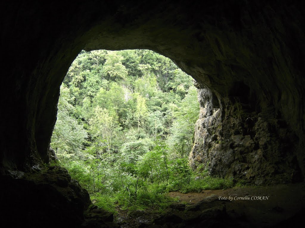 Dracoaia Cave, Sighistel, Bihor, Romania by COMAN CORNELIU