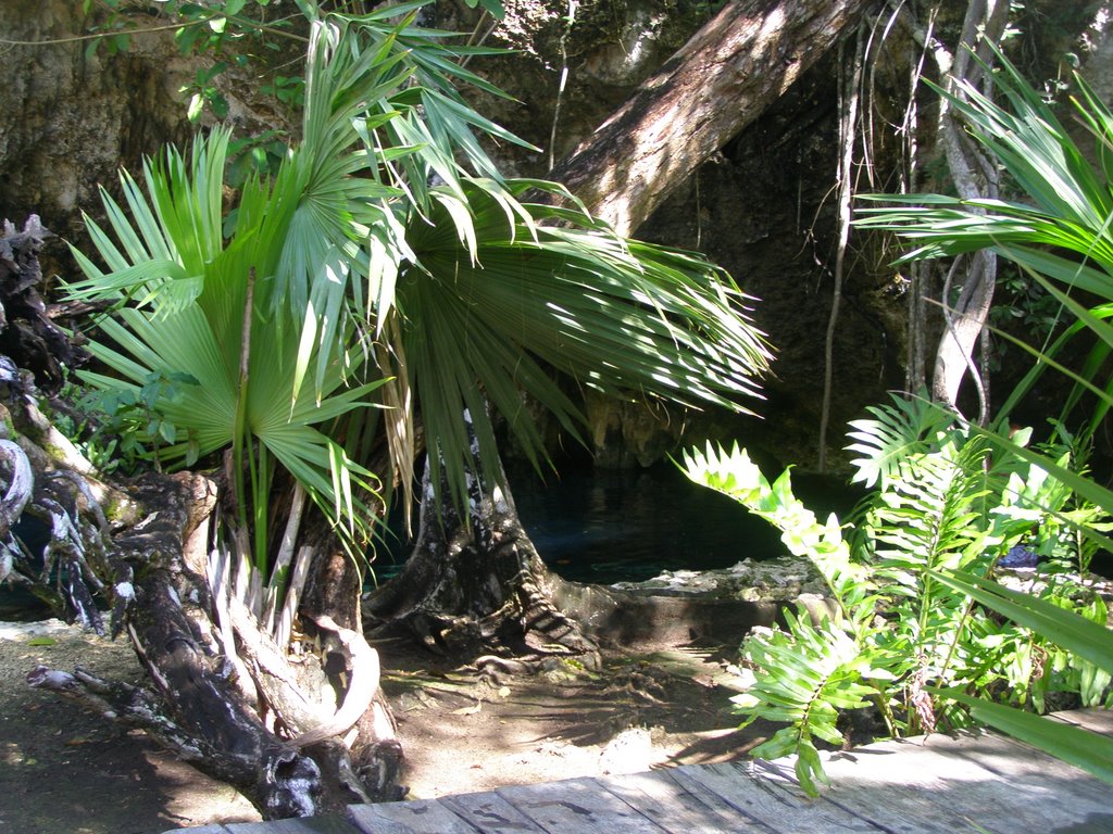 Grand Cenote talum -inside by corie anne