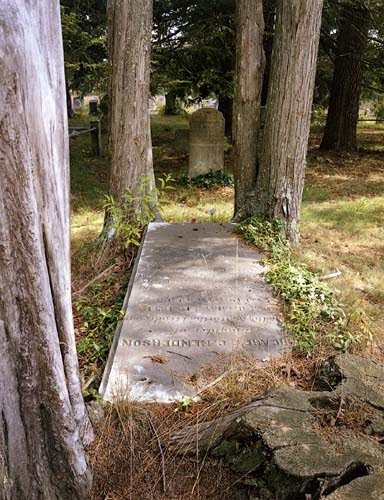 Pleasant Mills Cemetery by hoganphoto