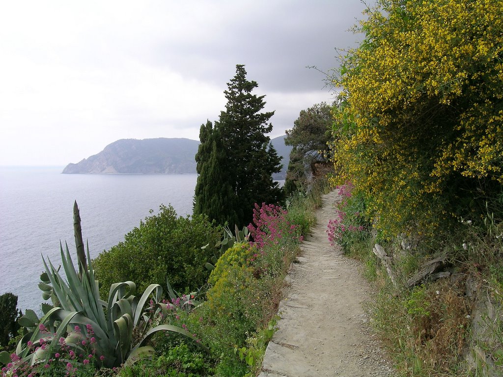 Sentiero nelle Cinque Terre by marco 62