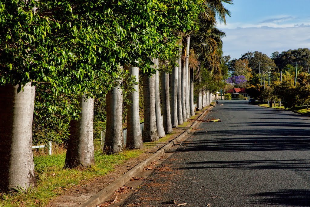 Coffs Harbour IMG_4116 by Oddlegs