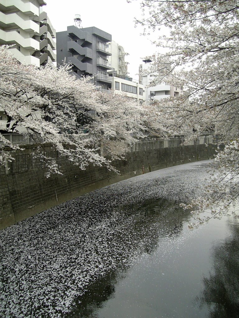 Edogawabashi, Tokyo by ogachi